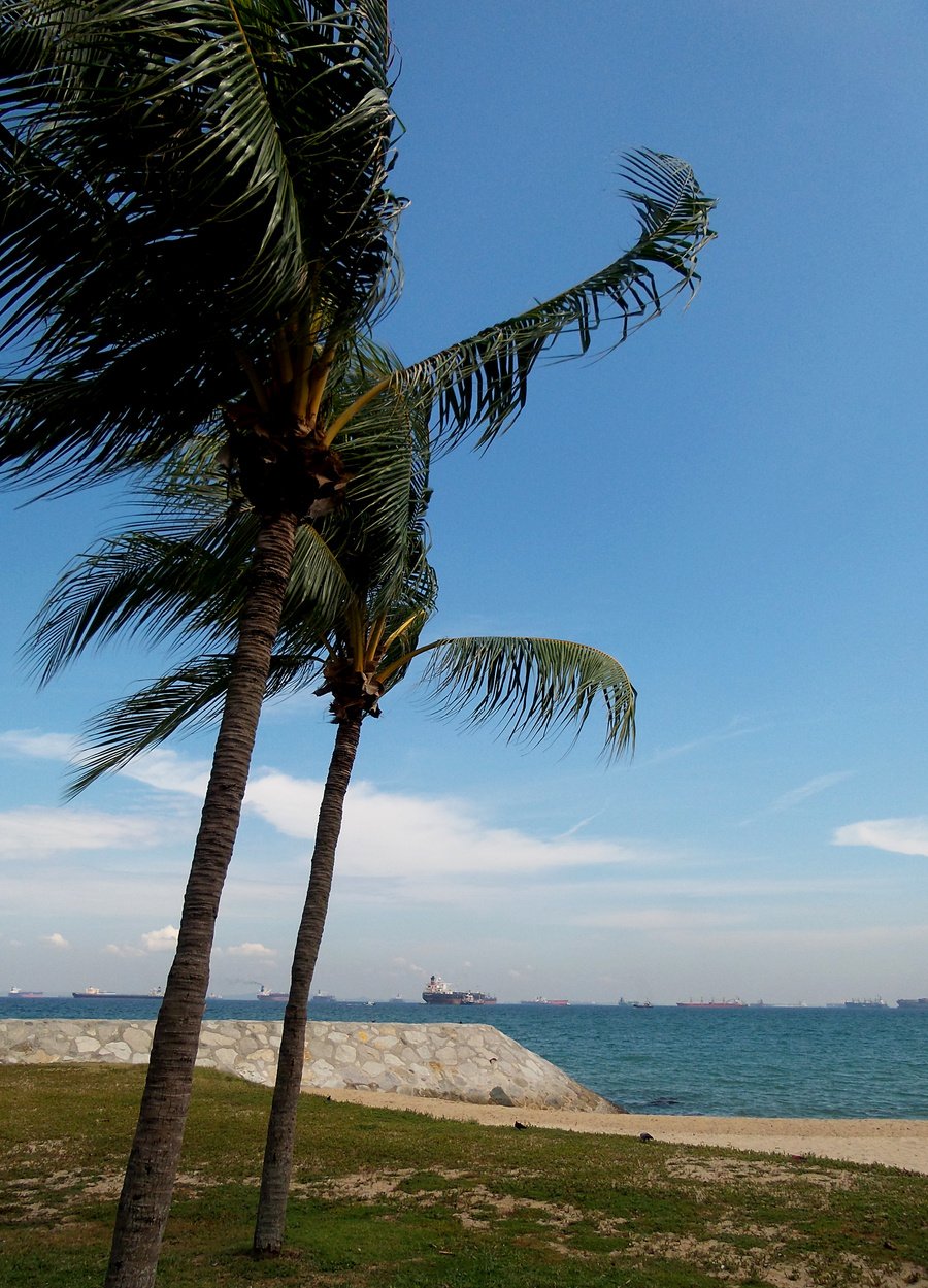 East Coast Beach Singapore