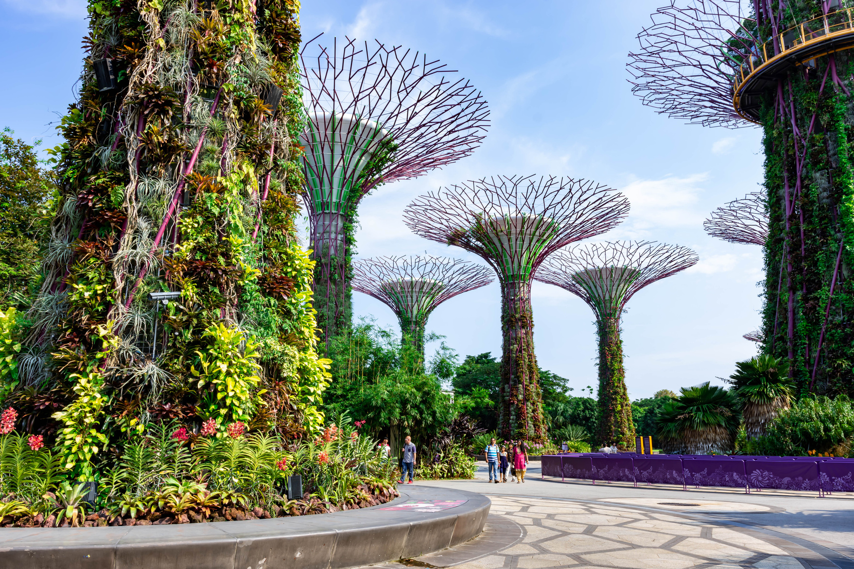 Supertree Gardens by the Bay in Singapore 